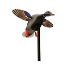 Mojo Elite Series Mini Mallard Motorized Spinning Wings Duck Decoy Hw2470