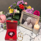 Pet Red Heart Cremation Urn For Ashes Paw Print Dog Cat Cremation Keepsake Urn
