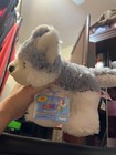 Webkinz Husky With Code Unused