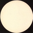 Pensione Fabrello White Roma Rome Italy Columns Ruins Vintage 4  Luggage Label