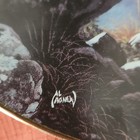 Hamilton Collection Tundra Light Year Of The Wolf Al Agnew Wolf Porcelain Plate