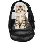 Muchl Pet Carrier Soft-sided Carriers For Cat Carriers Dog Carrier For Small    