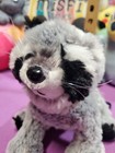 Ganz Webkinz Hm143 Retired Gray Raccoon Stuffed Animal Plush Toy No Code