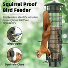 Squirrel Proof Bird Feeder Metal Mesh Outdoor Hanging 3lb Capacity Green