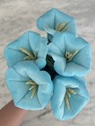 Cj Hendry Nyc Flower Market 3 0 Rare Blue  5 Pcs