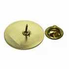 Licensed Practical Nurse Lpn Lapel Pin Red Cross Round Gold Caduceus Medical