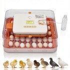 56 Egg Incubator With Auto Turning refill  Temperature   Humidity Control-orange