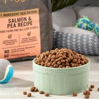 Pure Balance Wild   Free Salmon   Pea Recipe Dry Dog Food  Grain-free  11 Lbs