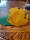   vintage Roller Hockey International Bullfrogs Cap - Final Price