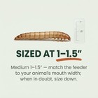 Medium Superworms 1-1 5    Live Feeders For Reptiles Birds   Amphibians