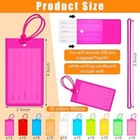 100 Pcs Plastic Luggage Tags Assorted Name Identification Labels Flexible Suitca