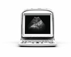 Chison Eco3 Vet  Ultrasound With Equine Rectal Probe -warranty 3 Years Used