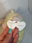 Ty Pillow Pals Bearbaby Plush 12  Tie Dye Pastel Rattle 1999