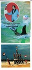 Great American Water Show Myrtle Beach South Carolina Sc Vintage Brochure