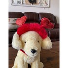 Fao Schwarz Valentine Golden Retriever Plush Dog Red Heart Headband 59781a23290