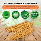 Vivlly 5lbs Gmo-free Sun Dried Spray Millet Original Bird Treat For Parakeets