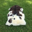 Genuine Brown   White Sheepskin Rug   Natural Long Wool Fur   Soft Plush