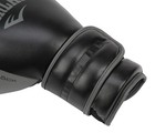 Boxing Gloves 16oz Heavy Bag Hook Loop Black Everlast Powerlock
