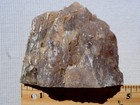 Rimrock  2 90 Lbs Polished Oregon Crooked River Agatized Limb Cast Faced Rough