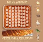 Ipettie Prohatch Incubator 56 Eggs Auto Turning Humidity Temperatur Control