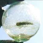 Glass Fishing Float Set 6 Pieces With Rare Foreign Objects Inside Japan
