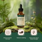 Bloat Relief - Lymphatic Drainage   Immune Support Lymphoria 59ml - Detox 