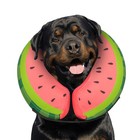 Inflatable Dog Cone For Surgery Recovery  Donut Collar For X-large Dogs  Xl