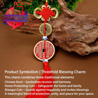 Feng Shui Solid Brass Thick Feng Shui Lucky Coin With Cinnabar  Wealth