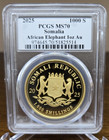 2025 1 Oz Gold Somalia Afr  Elephant Pcgs Ultra Breaks Ms70 Infinity Label 1 1