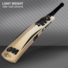 Gm Noir Striker Kashmir Willow Cricket Bat  Full Size  Free Cover  Lightweight
