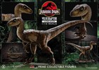 Prime 1 Studio Velociraptor Closed Mouth 1 10 Jurassic World Dinosaur Model Gk