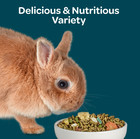 Kaytee Forti-diet Nature s Harvest Rabbit Food 5 Pounds
