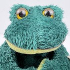 Vtg Russ Berrie Heartcraft Collection 16    Fleegle Frog Stuffed Animal W  Tag