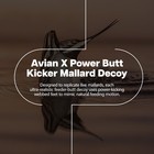 Avian-x Power Butt Kicker Pintail Drake Motion Duck Realistic Floating Decoy