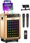 Karaoke Machine For Adults And Kids With 2 Bluetooth Wireless Gold  2 0 