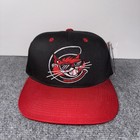 Nwt Vintage Charleston Alley Cats Snapback Hat Cap Minor League Baseball Oc Mlb