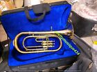 Baritone Horn Of Pure Brass Made In Golden Polish   Cushion Case  free Fast Ship