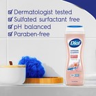 Dial Body Wash  Exfoliate   Restore Himalayan 16 Fl Oz  pack Of 4   Pink