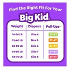 Pull-ups Girls Potty Training Pants 5t-6t  50 Counts