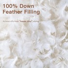 Savori Down Feather Throw Pillow Inserts 12x20 Euro Pillow Inserts  Soft Fluf   