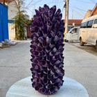 24 55lb New Find Purple Phantom Quartz Crystal Cluster Mineral Samples Healing