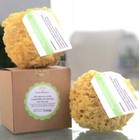 Fra Fra   s Naturals Version Of The Large Bath And Shower Sea Sponge