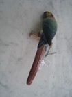 Vintage Antique Art Deco Ceramic Wall Hanging Parrot Bird Figurine
