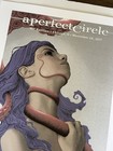 A Perfect Circle Tour Poster Chicago Il Uic Pavilion 11 24 17 Ron Ransom 21 175