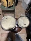 Pearl Elite Series Bongos