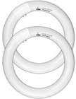 Fc8t9 cw Circular Fluorescent Light Bulb  8 Inch Round T9 22w Circline Bulbs