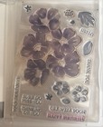 Blossom In Bloom Retired Stampin Up Stamp Sets