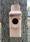 Large Cedar Owl Nesting Box House Screech Saw Whet Owl For Tree Fully Installed