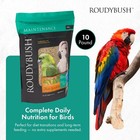 Roudybush Daily Maintenance Bird Food  Medium  10-pound