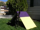 Dog Agility Equipment Mini A-frame   A Frame   Aframe